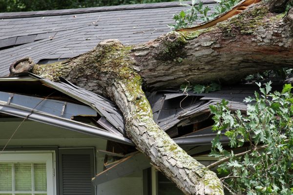 Cost of Storm Remediation in Omaha