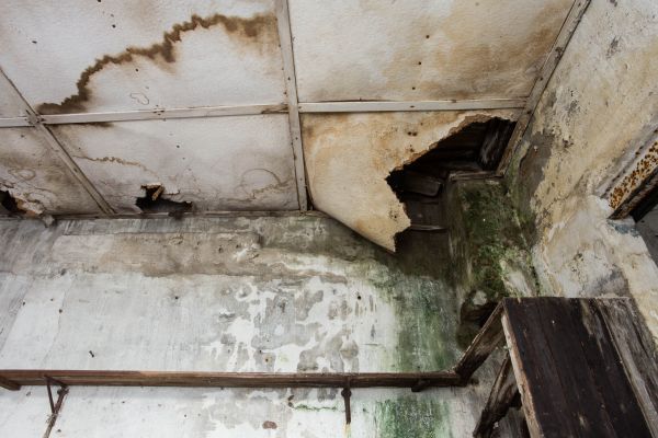 Cost of Water Damage Service in Omaha