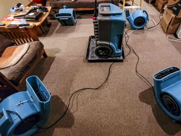 Cost of Flood Damage Recovery in Omaha