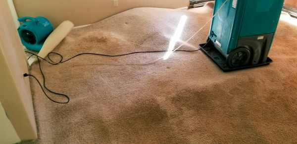 Cost of Flood Damage Cleanup in Omaha