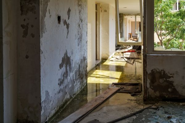 Cost of Water Removal Service in Omaha