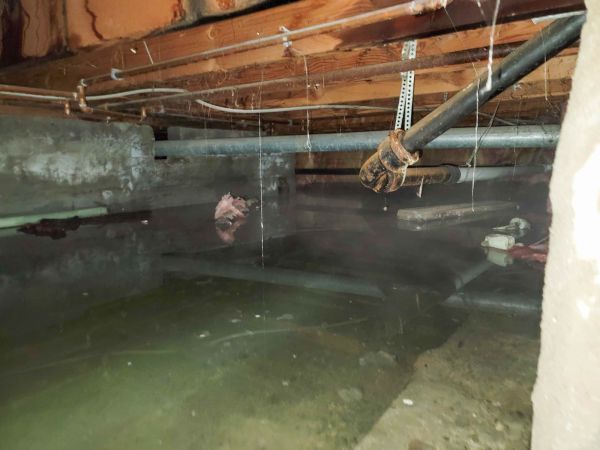 Cost of Crawlspace Water Restoration in Omaha