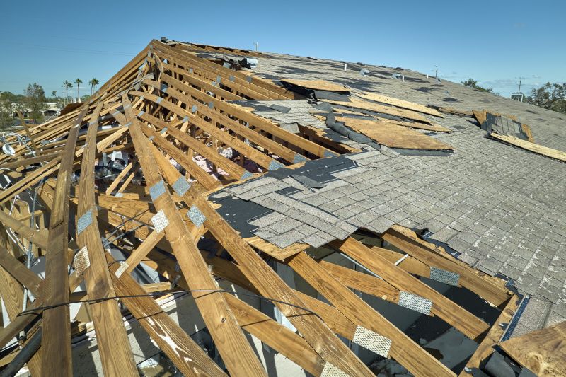 Roof Repair Process